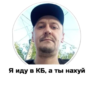 Стикер Чат приюта - 3 Стикер Чат приюта - 3