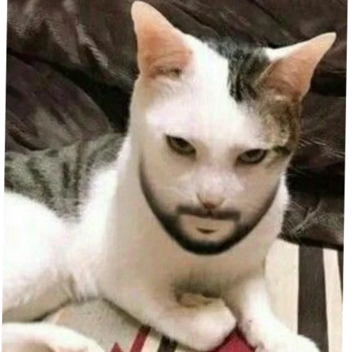 чт - 