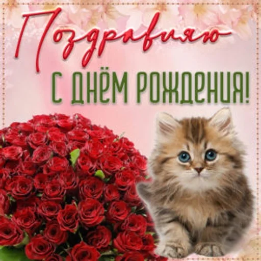 Sticker самый модный :: @fStikBot - 5
