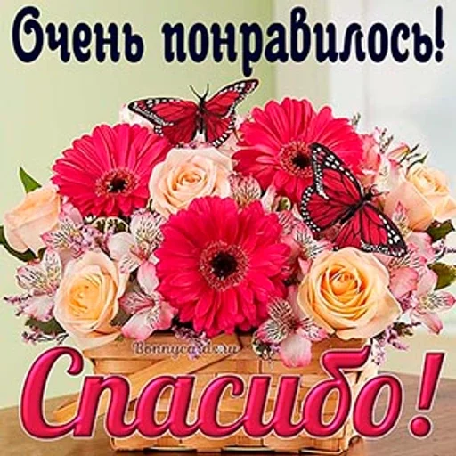 Sticker самый модный :: @fStikBot - 3
