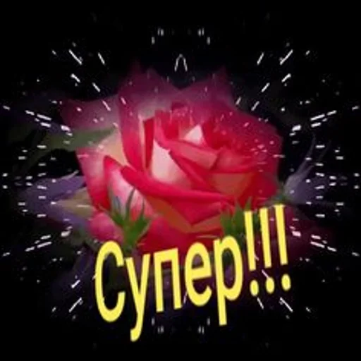 Sticker самый модный :: @fStikBot - 2