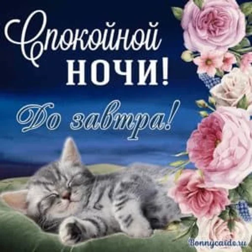 Sticker самый модный :: @fStikBot - 1