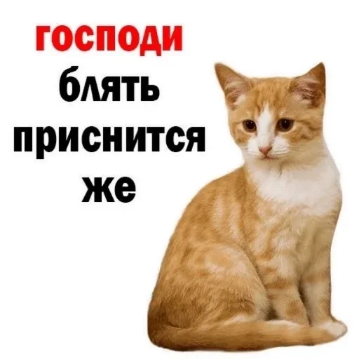 важно важно -