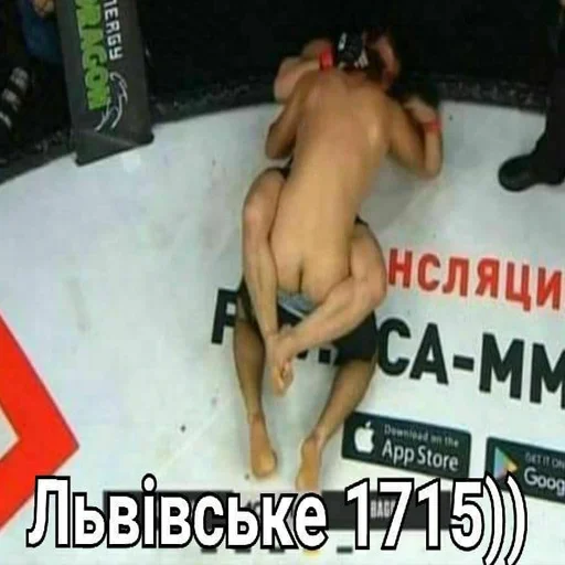 text text person sumo