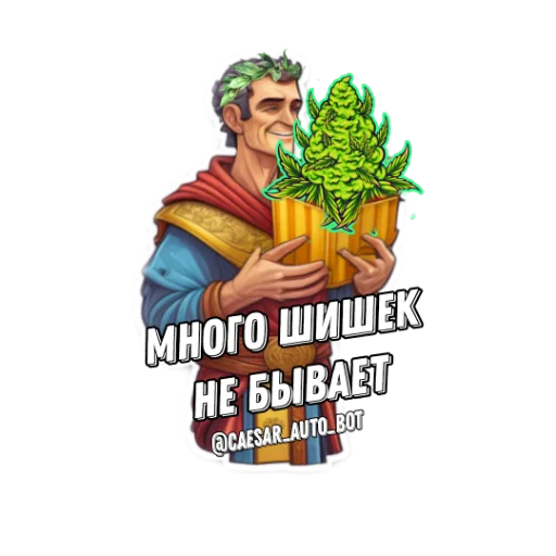 Caesarshop Caesarshop -