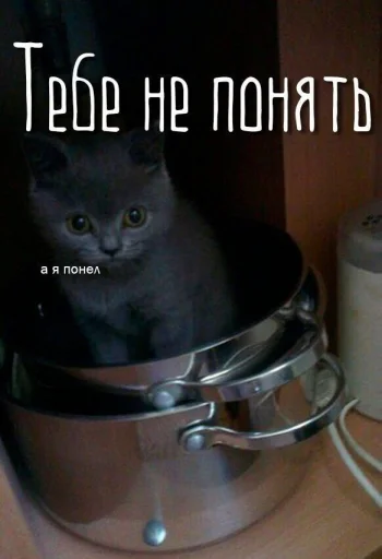 букет ног @orunakek букет ног @orunakek -