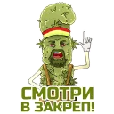 420 Time 420 Time - СМС