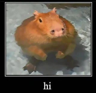 Sticker ‣ Capybara :🪨: @jichulan ♡‌ - 0
