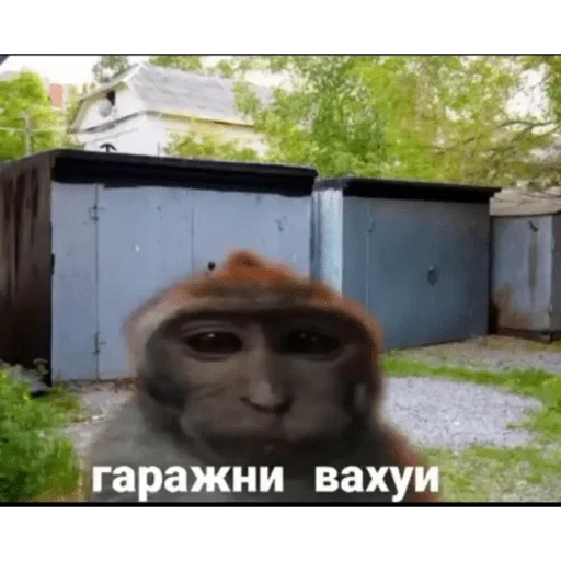 Набор стикеров от @Ctikerubot Набор стикеров от @Ctikerubot -