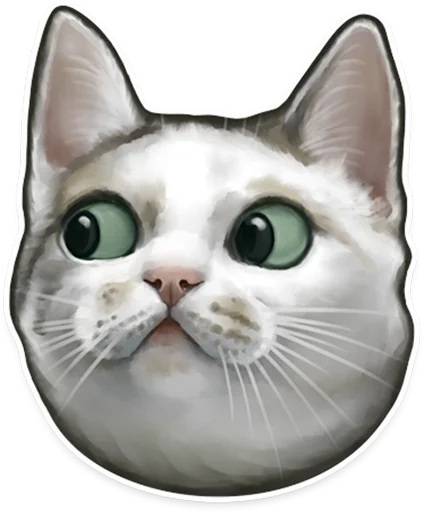 cats pechenegs cats pechenegs -