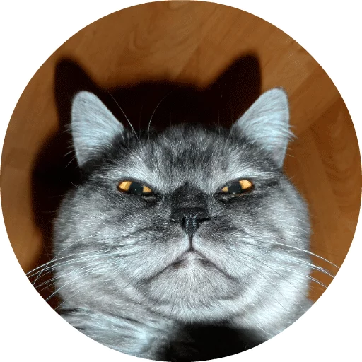 catsbySmol2 catsbySmol2 -