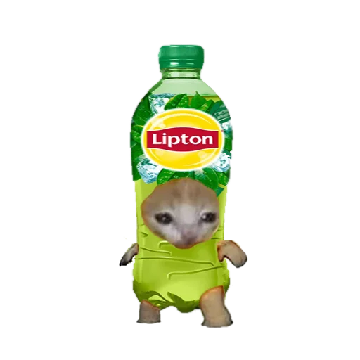 bottle bottle soft drink