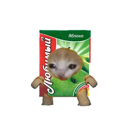 text text mammal toy
