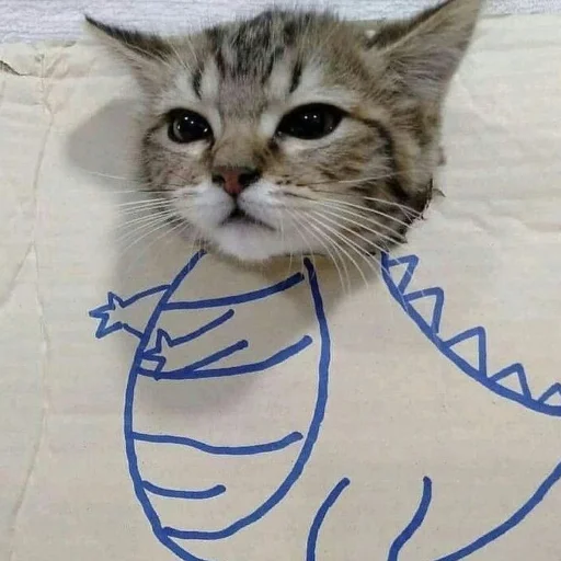 Мемокот Мемокот -
