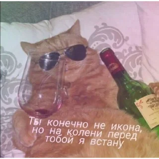 Sticker храни вас - 8