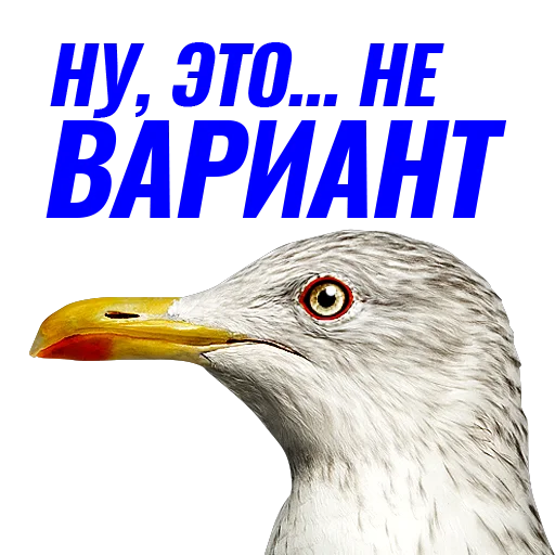 Sticker Чаечка - 0