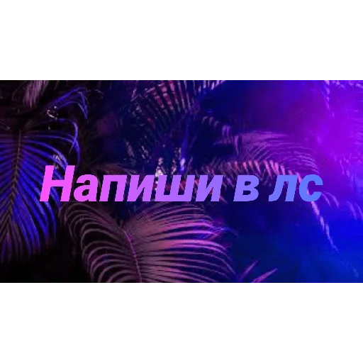 Чатик; @chatic6 Чатик; @chatic6 -