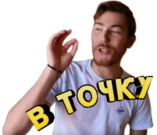 Чайка под чайкой (@elitelita) Чайка под чайкой (@elitelita) -