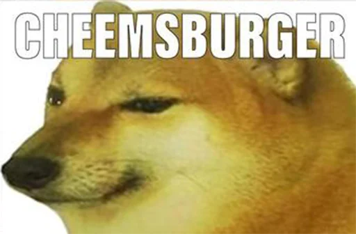 animal animal mammal text