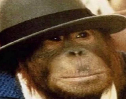 monke monke -
