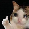 @chirpani r(a)u-sp-troll @chirpani r(a)u-sp-troll -