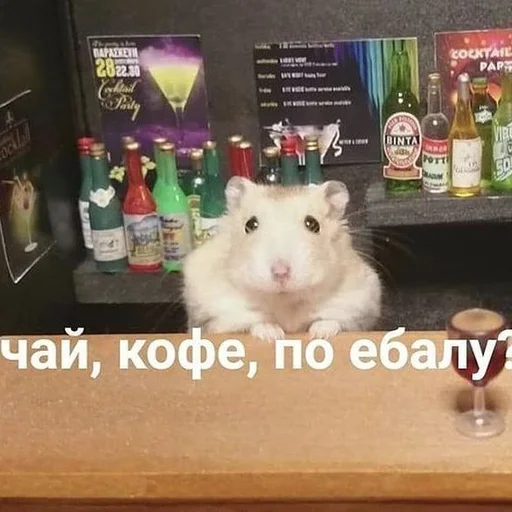 text text mammal hamster