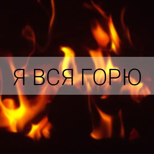 @chopchop69 passion @chopchop69 passion -
