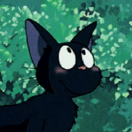 jiji jiji -