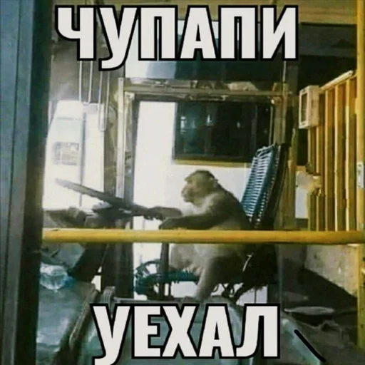 text text book