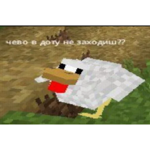 text text screenshot cartoon