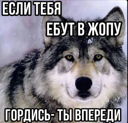 соска нериалка by @fStikBot соска нериалка by @fStikBot -
