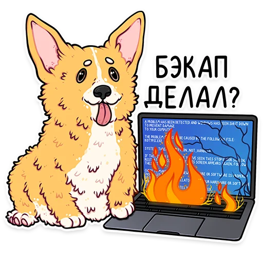 animal animal text dog