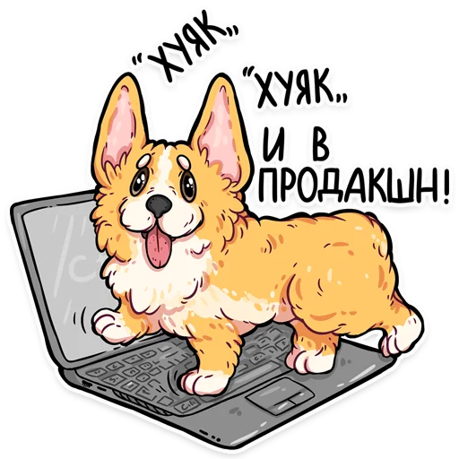 animal animal dog mammal