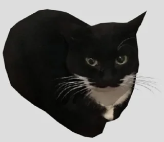 Sticker banana cat - 6