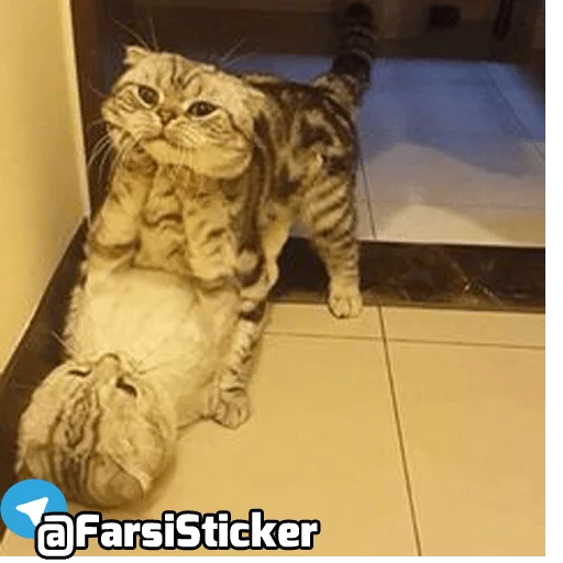 @farsisticker @farsisticker -