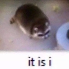 っ╥╯﹏╰╥c っ╥╯﹏╰╥c -