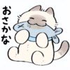 cute kitty . . 🤍 @Kenai_1 cute kitty . . 🤍 @Kenai_1 -