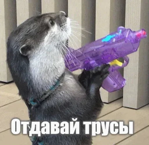 🦦✨ВыДрОчКи ✨🦦 :: @fStikBot 🦦✨ВыДрОчКи ✨🦦 :: @fStikBot -