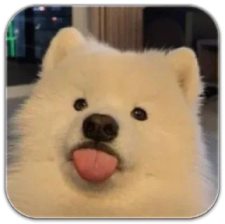 Sticker собака @dilonshy - 8 Sticker собака @dilonshy - 8