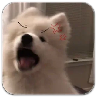Sticker собака @dilonshy - 7 Sticker собака @dilonshy - 7
