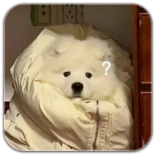 Sticker собака @dilonshy - 2 Sticker собака @dilonshy - 2