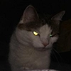 d3mage d3mage -