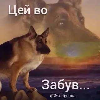 Стикер АсЬкА 🦋✨️ - 5