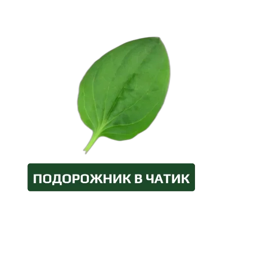 Лечим чат вместе Лечим чат вместе -