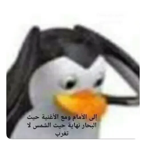@stiki_tg_nah_canal @stiki_tg_nah_canal -