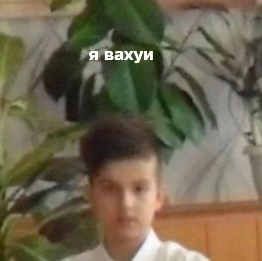 пупсики пупсики -