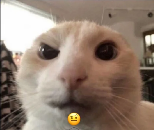 rmnrnrb4h3be rmnrnrb4h3be -