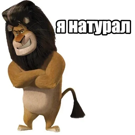 млекопитающее млекопитающее медведь фигура животного