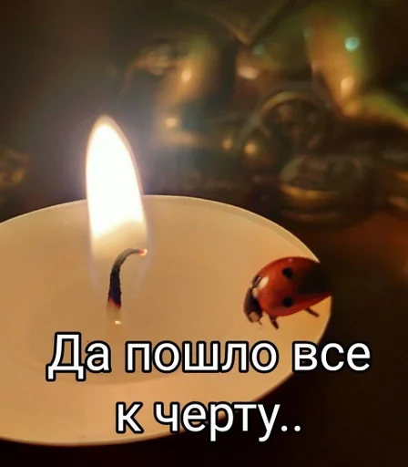 данечка :: @fStikBot данечка :: @fStikBot -