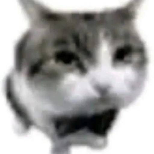 uuhjhhhhhjjkhjng - 